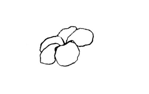 木槿花简笔画步骤图片
