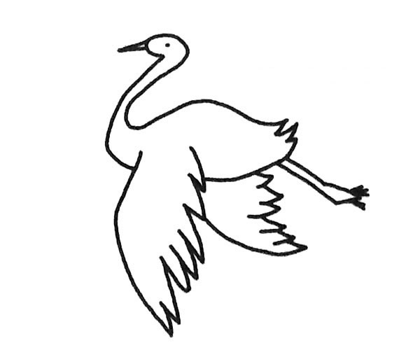 漂亮的丹顶鹤简笔画图片5