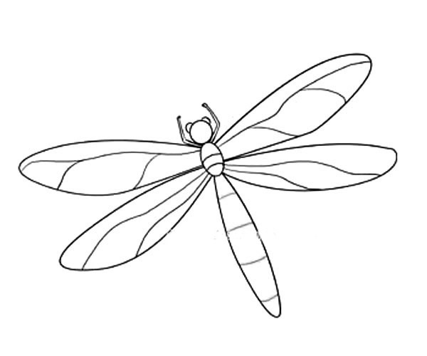 漂亮的蜻蜓简笔画图片1