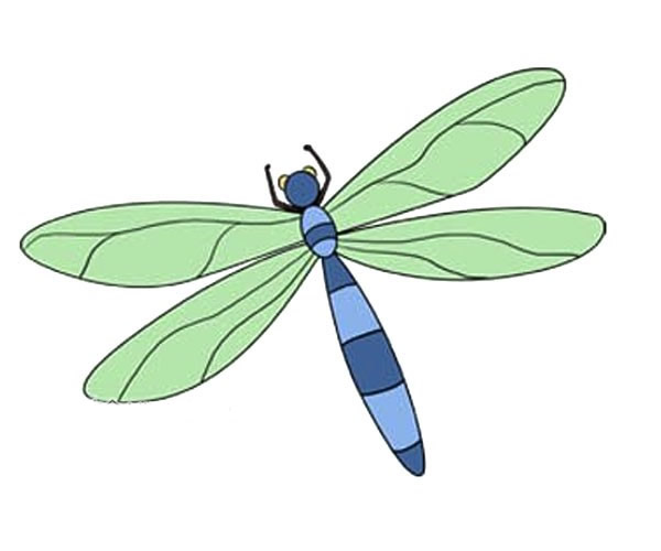 好看的蜻蜓简笔画带颜色2