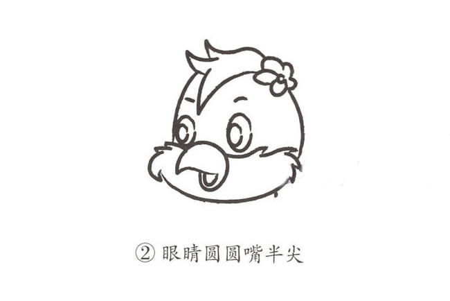 可爱的卡通鹦鹉简笔画步骤图片