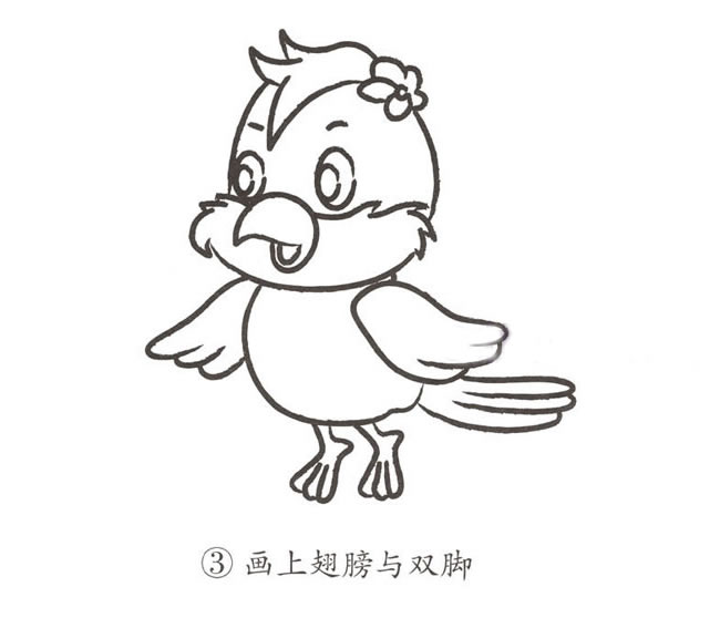 可爱的卡通鹦鹉简笔画步骤图片