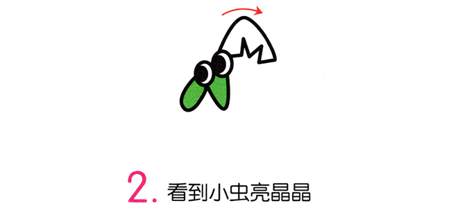 螳螂简笔画步骤图片