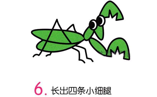 螳螂简笔画步骤图片
