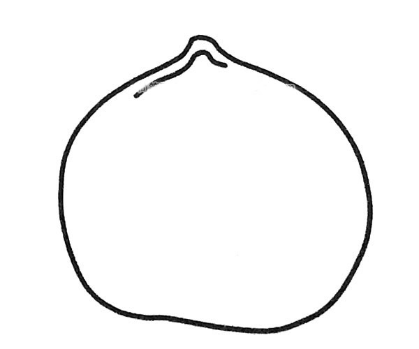 简单的桃子简笔画图片3