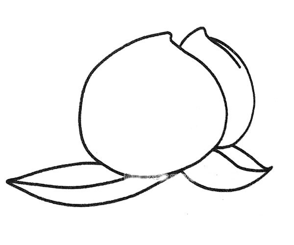 漂亮的桃子简笔画图片4