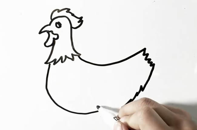 大公鸡简笔画画法步骤图片