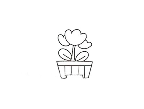 郁金香盆栽简笔画