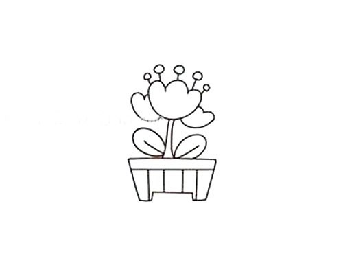 郁金香盆栽简笔画