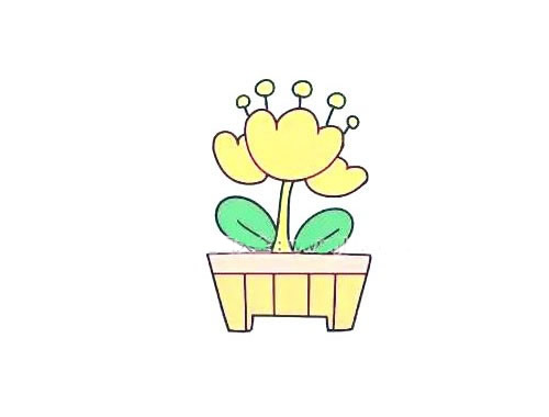 郁金香盆栽简笔画
