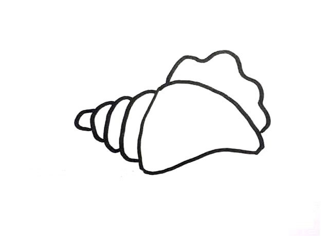 贝壳简笔画图片5