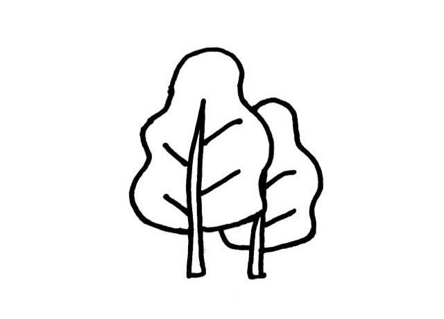 大树简笔画图片4