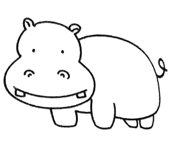 四步学画河马简笔画步骤图解