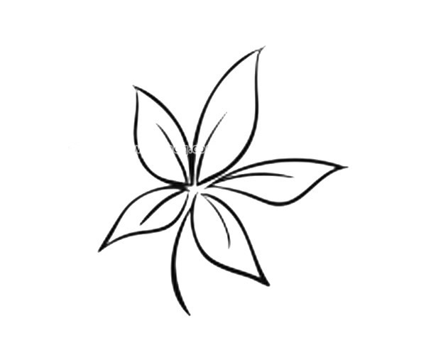一组漂亮的叶子简笔画图片