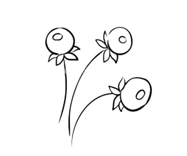 一组漂亮的小花简笔画