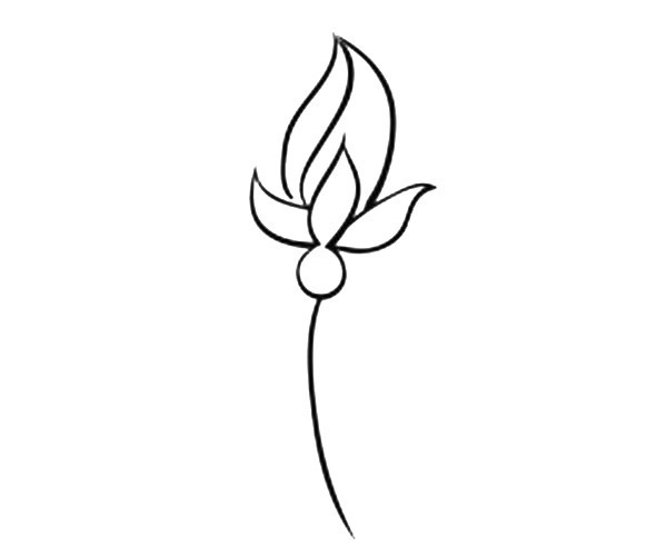 一组漂亮的小花简笔画