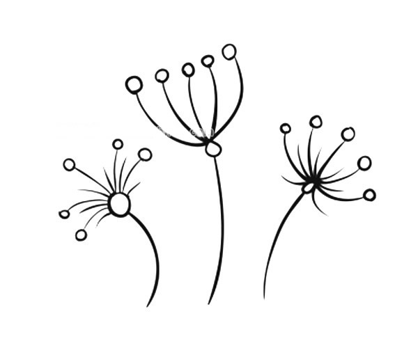 一组漂亮的小花简笔画