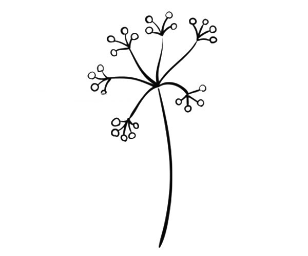 一组漂亮的小花简笔画