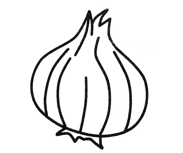 洋葱简笔画图片大全