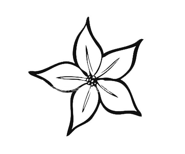 各种花瓣的简笔画图片 12种花瓣的简单画法大全
