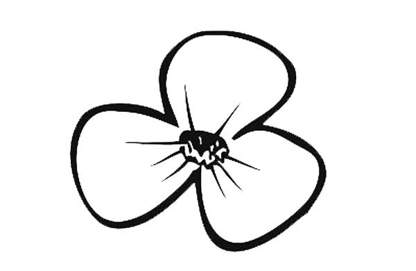 各种花瓣的简笔画图片 12种花瓣的简单画法大全