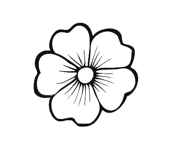 各种花瓣的简笔画图片 12种花瓣的简单画法大全