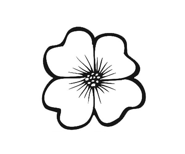 各种花瓣的简笔画图片 12种花瓣的简单画法大全