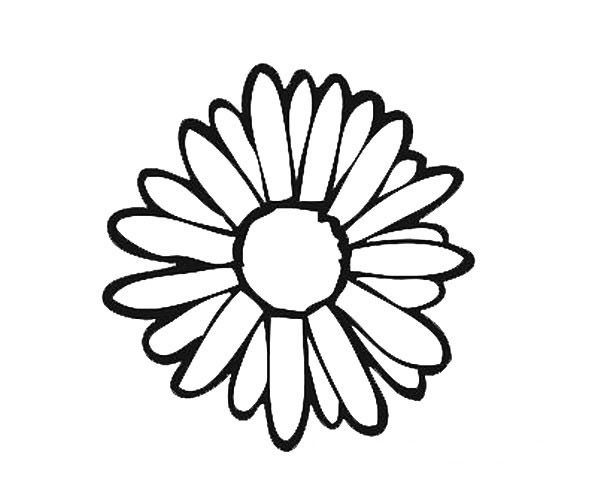 各种花瓣的简笔画图片 12种花瓣的简单画法大全