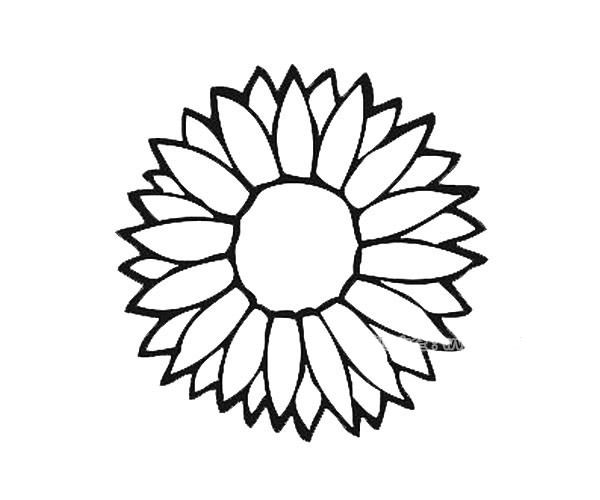 各种花瓣的简单画法