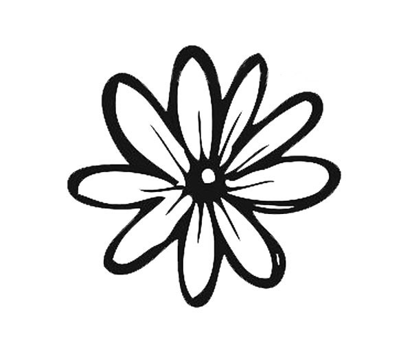 各种花瓣的简单画法