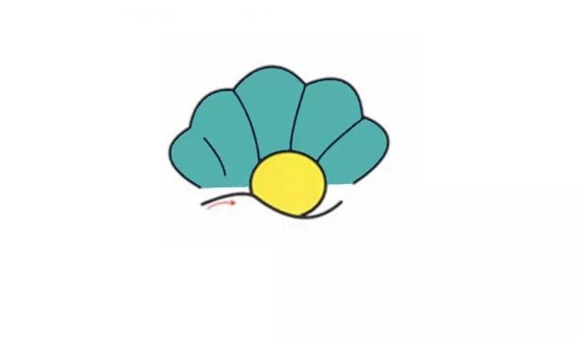 珍珠贝简笔画步骤图解