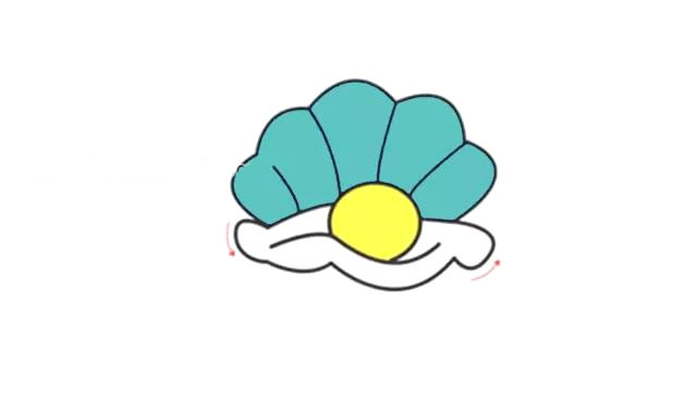 珍珠贝简笔画步骤图解