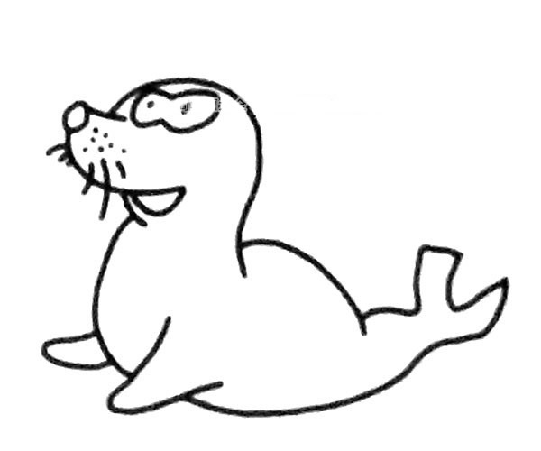 6款可爱的海狮简笔画图片