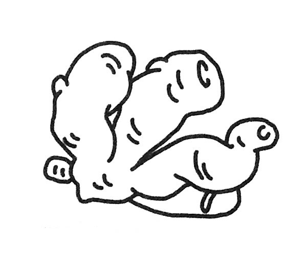 生姜简笔画图片