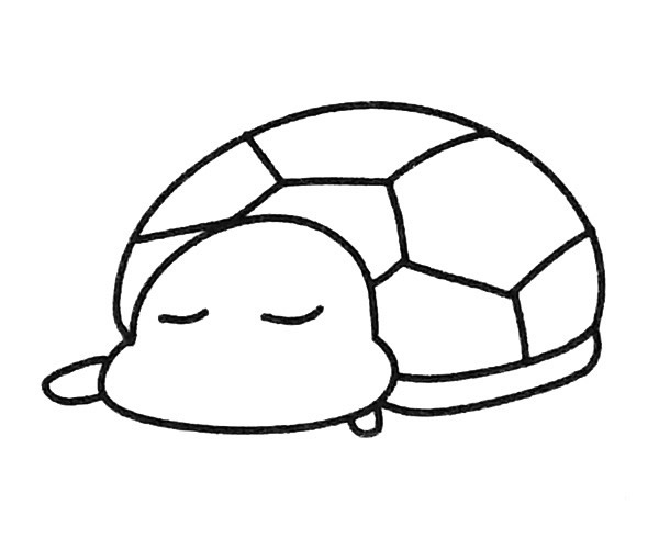 6款卡通乌龟简笔画图片