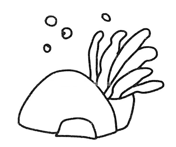 6款卡通海葵简笔画图片