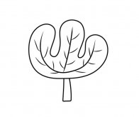 儿童学画大树简笔画图片