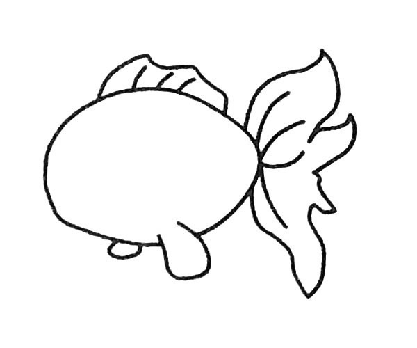 金鱼简笔画步骤3