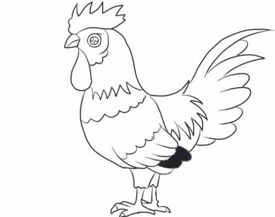 大公鸡简笔画的画法步骤教程 卡通大公鸡简笔画怎么画