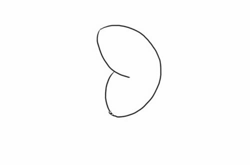 蝴蝶兰简笔画