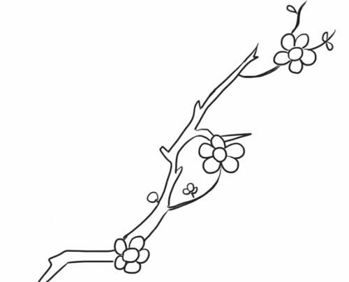 梅花简笔画步骤图解教程