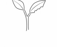 正在吃树叶的虫子简笔画步骤教程