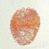 草莓指印画教程