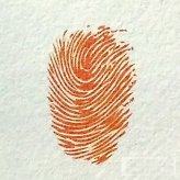 南瓜的画法步骤图解