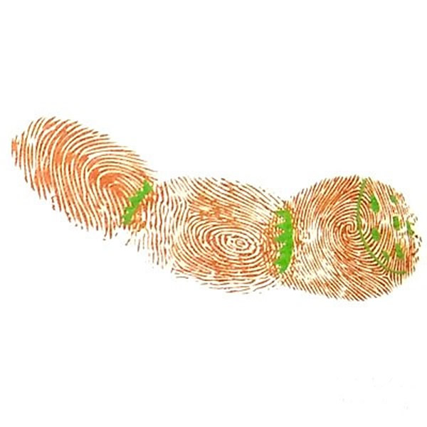 莲藕指印画图片