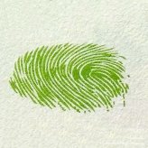 西瓜指印画教程