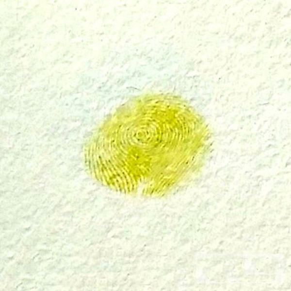 小鸟动物手指印画教程 幼儿园手指印画图片