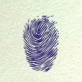 牵牛花指印画教程