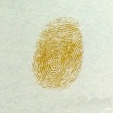 菠萝指印画教程