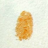 蘑菇指印画教程